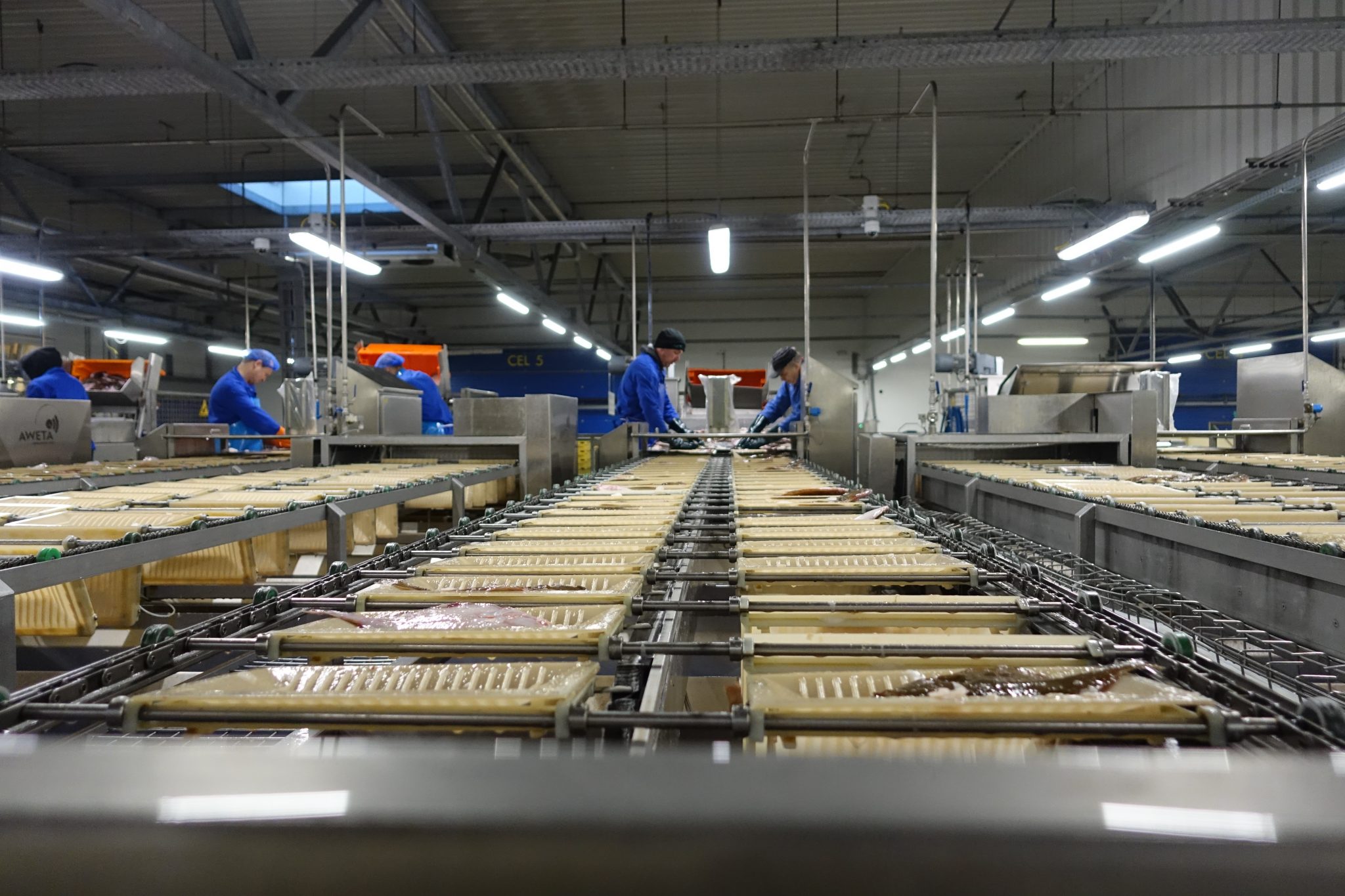 Managed IT